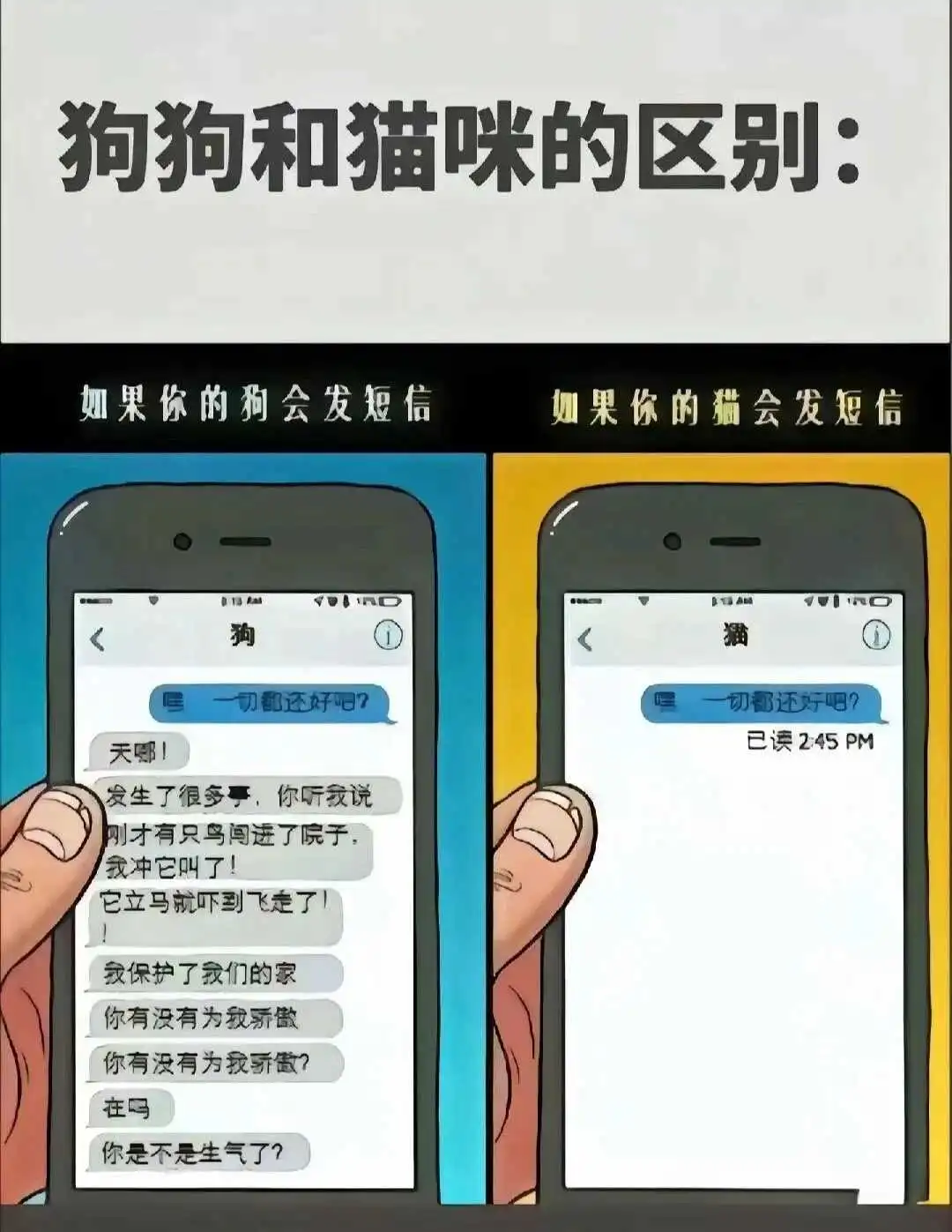 西檬之家恋足癖新手如何理解与探索? 一