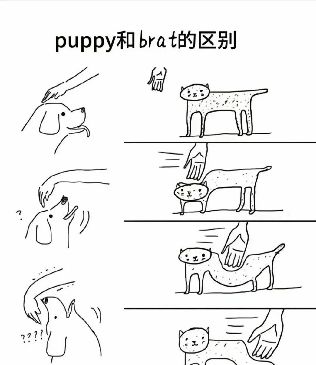 西檬之家s属性解析与实践指南 一