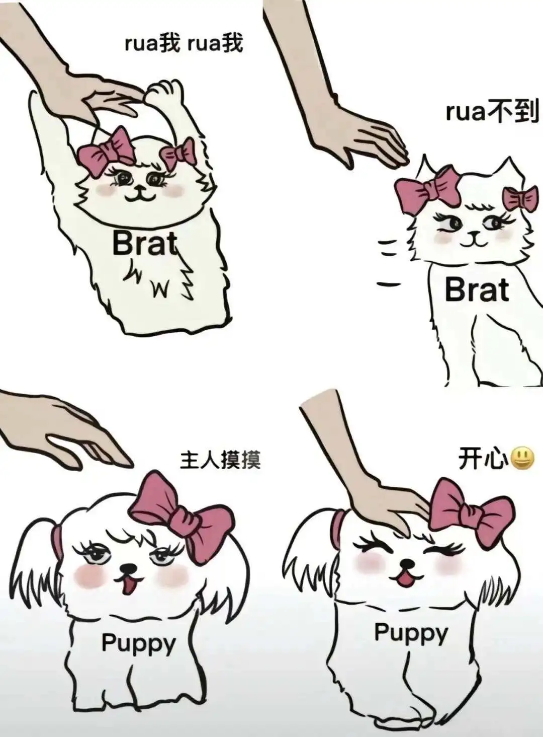 西檬之家斯慕圈新人如何快速入门与探索魅力 一