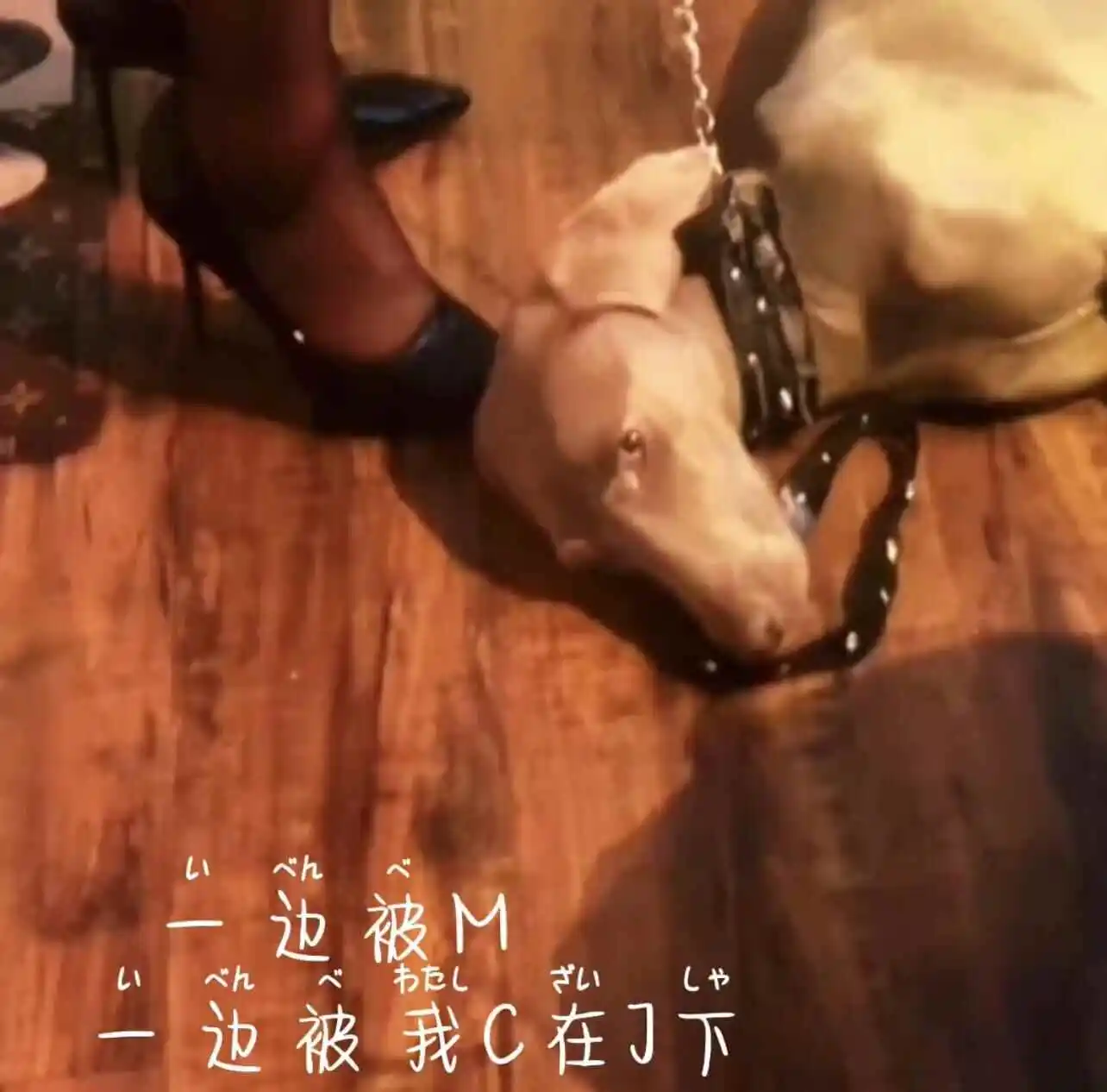 西檬之家字母圈入门指南:如何找到你最适合的角色? 一
