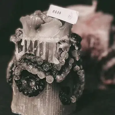 西檬之家sub是什么?深入了解你的字母圈身份与角色 一