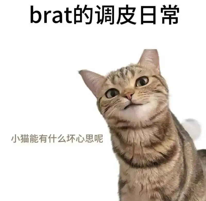 西檬之家女王角色在字母圈中的魅力与实践指南 一