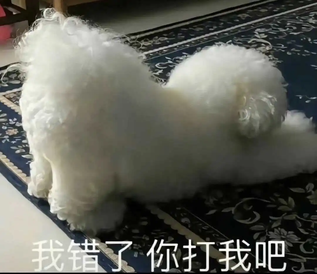 西檬之家什么是s倾向?字母圈新人入圈 一