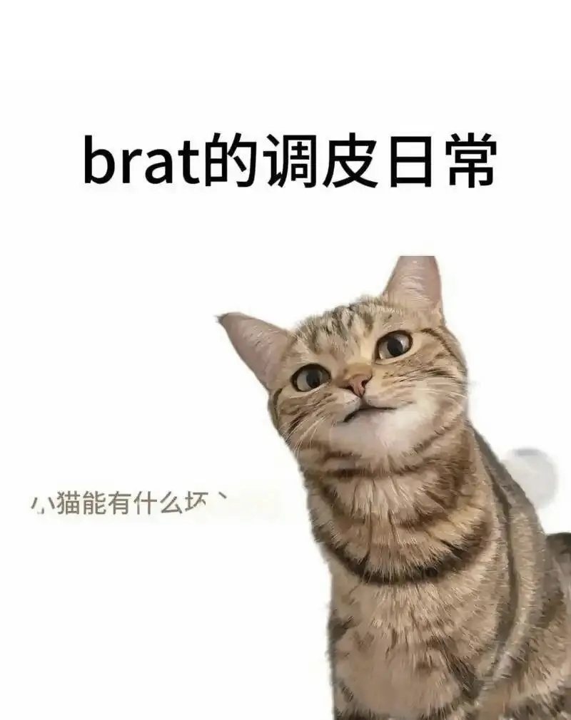 西檬之家Sp打屁股安全须知 一