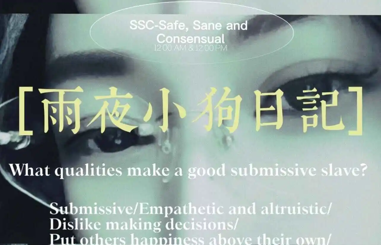 西檬之家Sub是什么?探索字母圈角色 一